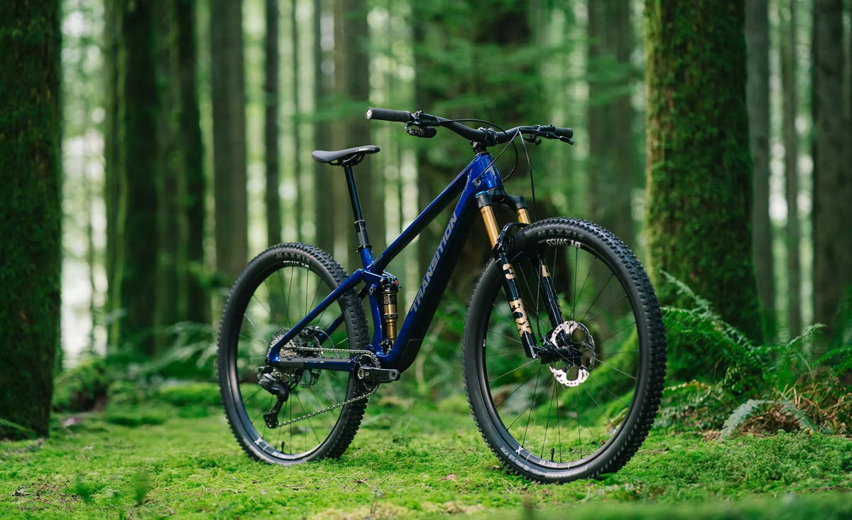 Transition Spur Carbon Frameset