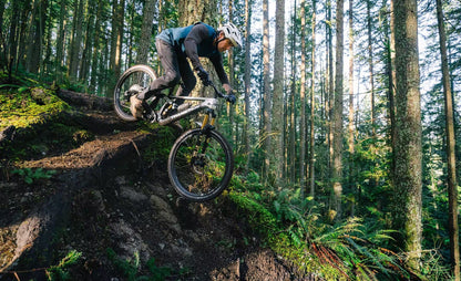 Transition Sentinel Carbon XT Di2