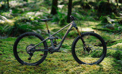 Transition Sentinel Carbon XT Di2