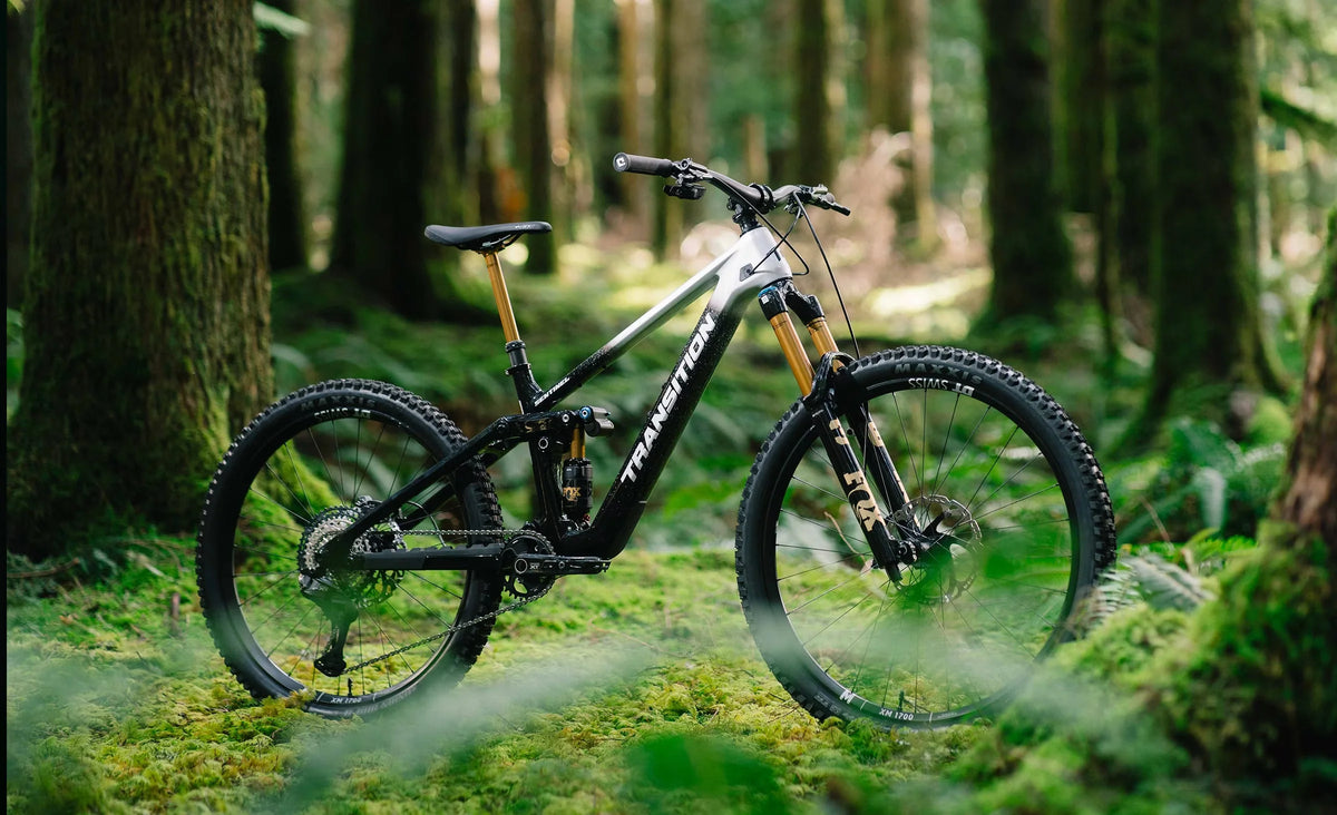 Transition Sentinel Carbon Eagle 90
